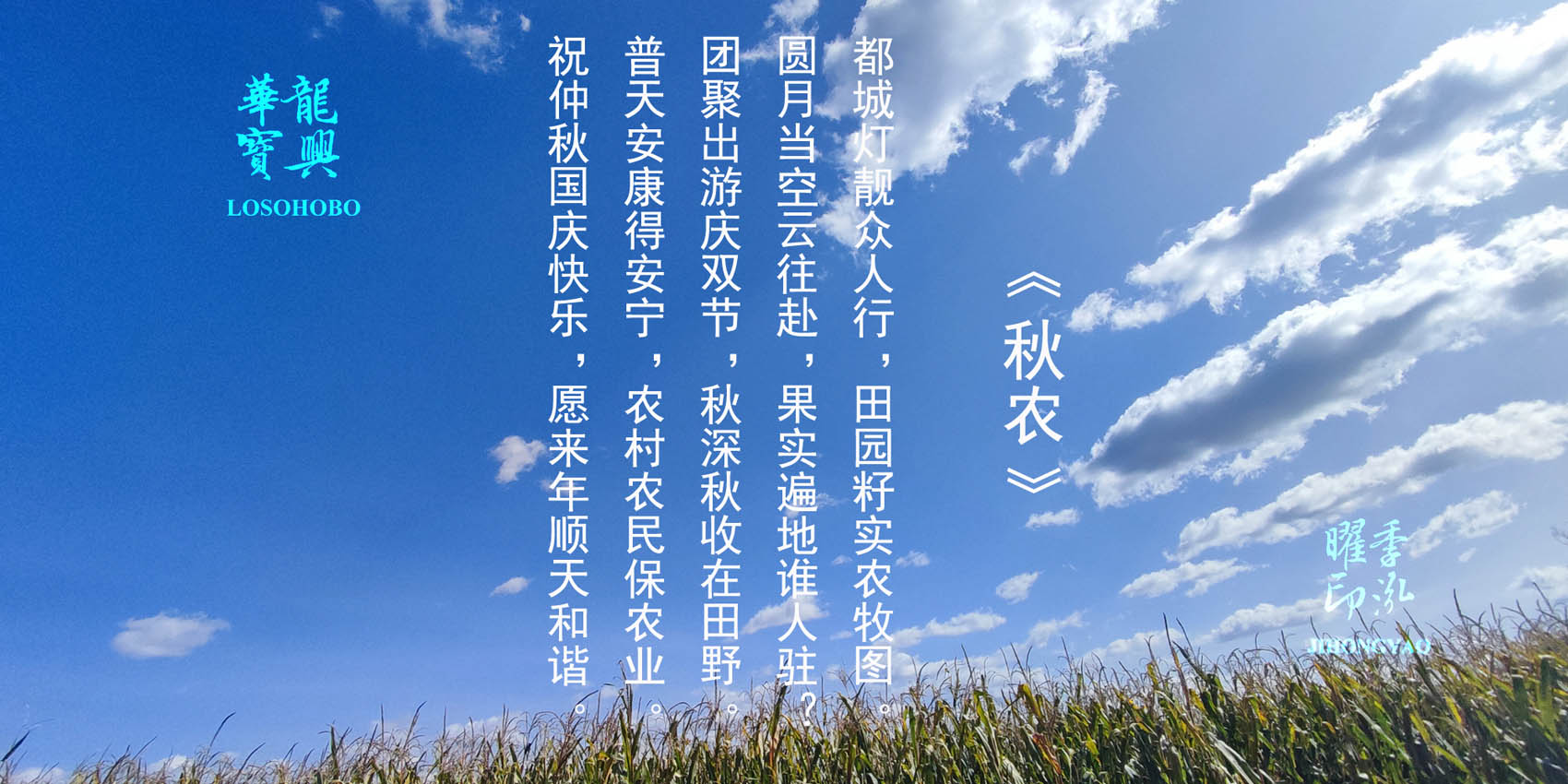 《秋农》（ The farming in the autumn of 2023）